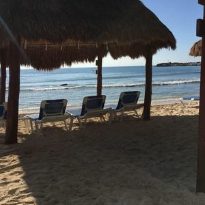 Meet your Posher, Roberta